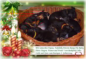 Bild anklicken um zu vergrößern 