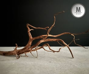 選べるスマトラウッドM