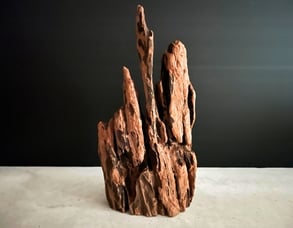 塊状流木レンタル事例