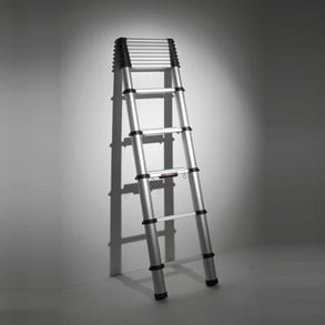 TELESTEPS LADDER, European Consumers Choice,