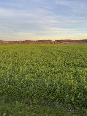 Förderung pro Hektar landwirtschaftlicher Fläche