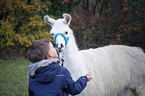 Lama Mama, Kindergeburtstag, Das Lama-Erlebnis mit Herz · Sommerein · Niederösterreich