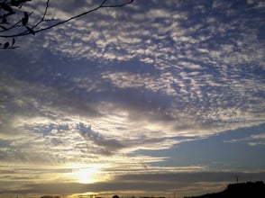 Photo Isabelle Bouchex