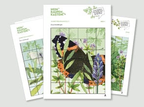 lehrmittel-raupe-schmetterling-naturforscher-puzzle