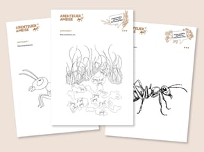 lehrmittel-lebensraeume-naturforscher-arbeitsblaetter