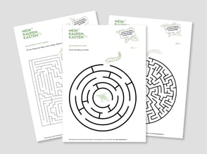 lehrmittel-raupe-schmetterling-naturforscher-raetsel