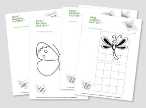 lehrmittel-raupe-schmetterling-naturforscher-raetsel