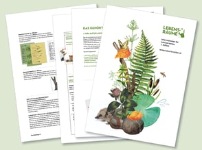 lehrmittel-lebensraeume-naturforscher-lehrerkommentar