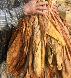 Havanna Tabak Zigarren