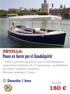 paseo barco Sevilla 11 pasajeros