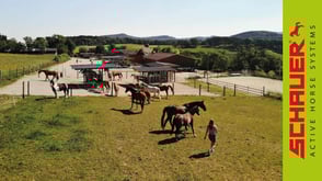 Active Horse Pferdestallsysteme Referenzen Vorschaubild Bewegungsstall Winter