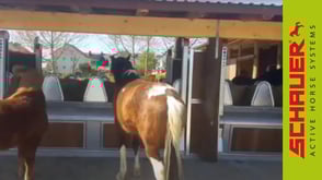 Active Horse Pferdestallsysteme Referenzen Vorschaubild HeuTimer Rehren