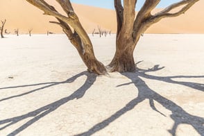 Sossusvlei, Namibia, Foto: Ria Henning-Lohmann