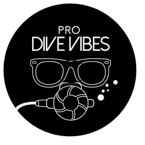pro dive vibes logo