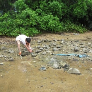 抜けませんでした。頑張ってくれてありがとう