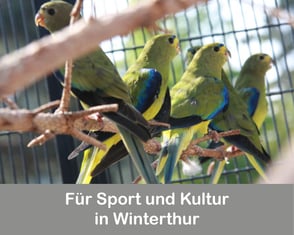 Für Sport und Kultur in Winterthur
