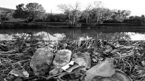 Foto in bianco e nero divisa in due parti: rive alberate di un fiume e oggetti di plastica abbandonata in un bosco