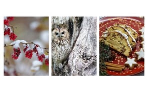 ©pixaby;  ©Obster Erich, LBV Bildarchiv;   ©pixaby  