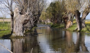 Aischquelle ©Josef Röhrle