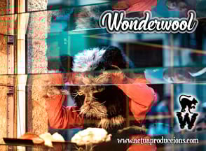 Wonderwool