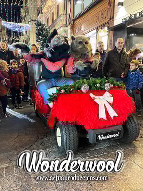 Espectáculos navideños