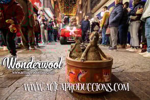 Espectacles de Nadal