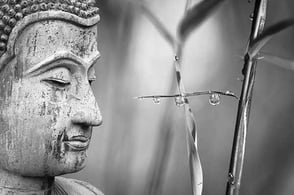 Sportmassagen, Rückenmassagen, Schröpfmassagen mit Brigitte Wacker in Rombach-Aarau