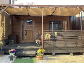 ミヌエット　仔猫　京都　長毛　短足