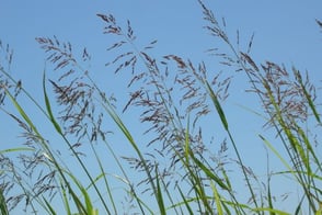 Psychologische Beratung, Praxis für Individualpsychologie & Körperzentrierte Beratung