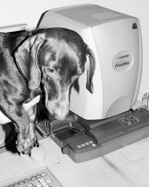 Fuji Frontier SP 3000 mit Ivo, seit 2024