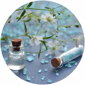 Kinesiologie, Wien, Sandra Adamcik, 1210 Wien, Beauty, Detox, Touch for Health, Balance, Gleichgewicht