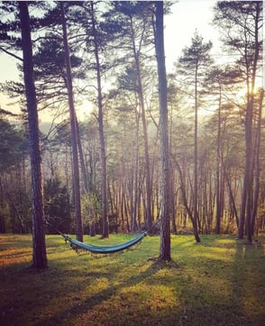 Rückzug in die Natur & Einzelcoaching - Praxis für Naturheilkunde und Tibetische Medizin Baden