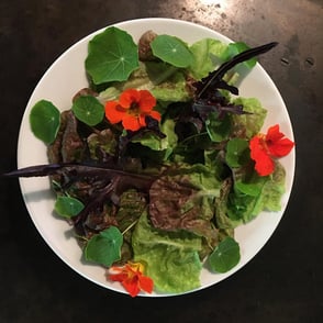 Atelier Atelier-Café Café Beiz Besenbeiz Dorfbeiz Restaurant Daniel Gisler Krinau Toggenburg Ostschweiz St. Gallen Kulinarik Essen