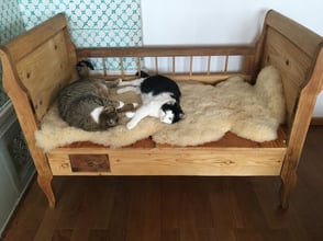 Atelier Café Atelier-Café Restaurant Beiz Besenbeiz Gourmet Kulinarik Essen Daniel Gisler Kultur Kunst Maler Kunstmaler Kunstmalerei Malerei Krinau Lichtensteig Wattwil Toggenburg Ostschweiz St. Gallen