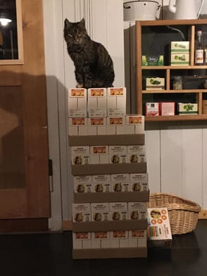 Notvorrat an hochwertigem Katzenfutter - selbst in allerschwierigsten Zeiten dachte mein Personal nur an mein Wohl. Auch in medizinischer Hinsicht wurde mir alles gewährt, was Sinn machte und zu meiner Lebensqualität beitrug.