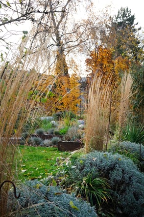 dieartigeGARDEN - Herbst-Farben, Gräser, Lavendel+Buchenhecke