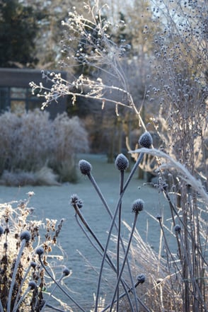 dieartigeGARDEN // Design Studio - Raureif im Wintergarten