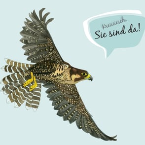 dieartige - Grafik | St. Marien Greifswald