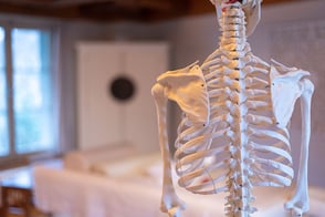 Liebscher & Bracht Schmerztherapie, Praxis im Hof, Lenzburg