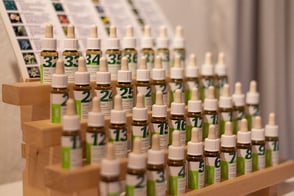 Bachblüten Therapie, Praxis im Hof, Lenzburg