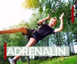 Jungen in der Pubertät haben viel Energie und brauchen Action