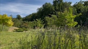La Colline du Levant - Emaho 2025