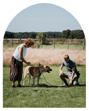 Hundetraining und Hundeschule