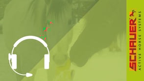 Active Horse Pferdestallsysteme Referenzen Vorschaubild Webinar Bewegungsstall Brandt