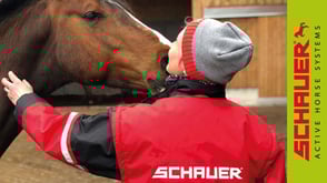 Active Horse stable systems preview image Active Horse Contact Image Home