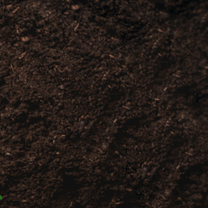 Erde Humus gesiebte Erde Pflanzerde Hochbeeterde 