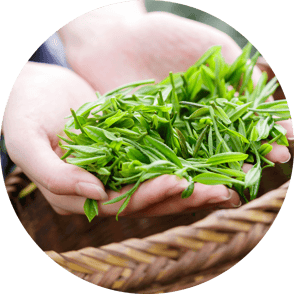 こだわり｜大分県佐伯市のケーキ屋さん｜クアンカドーネ