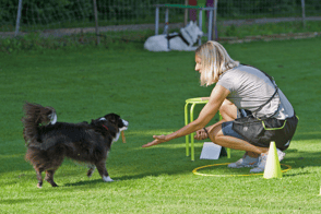 Hundeschule gooddog, unsere Kurse, unser Angebot