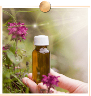 Bachblütentherapie, Patricia Kressig-Schori, Praxis für Energetische Körpertherapien, Zürich