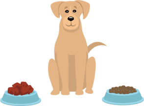 犬　餌　散歩　ブラッシング　トイレ